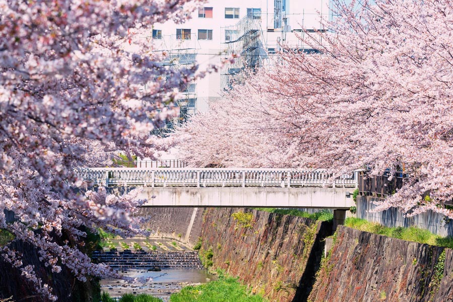 Nagoya City